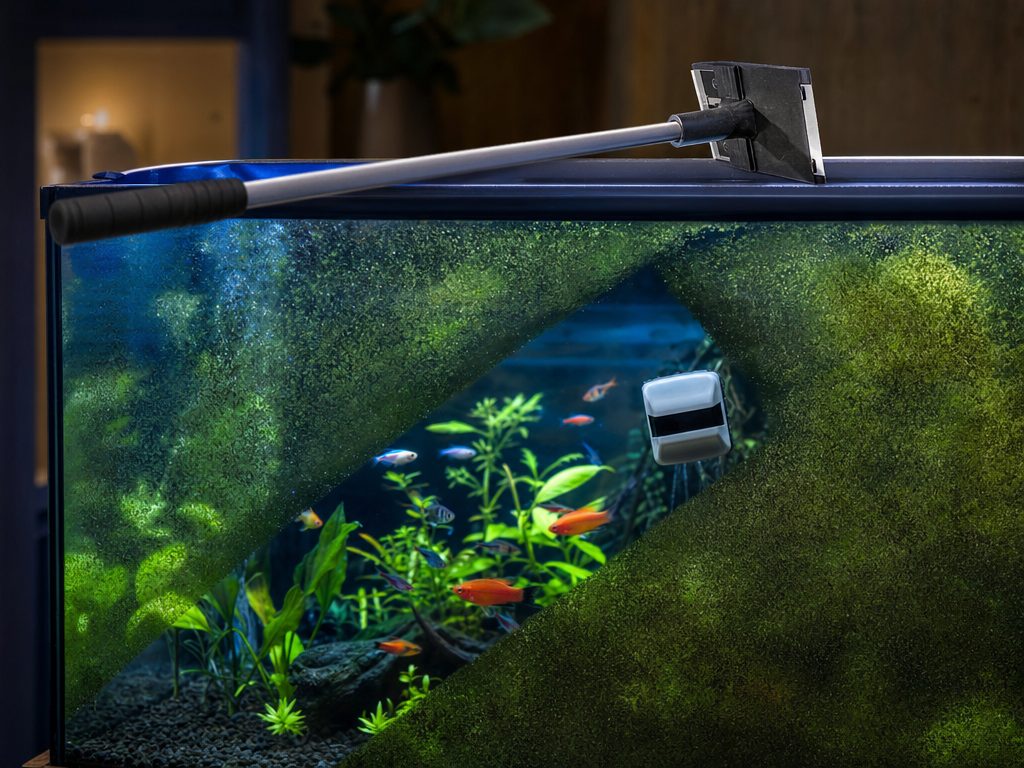 Magnetic algae cleaner wiping a clean stripe through green film on aquarium glass, with a long-handled scraper beside the tank